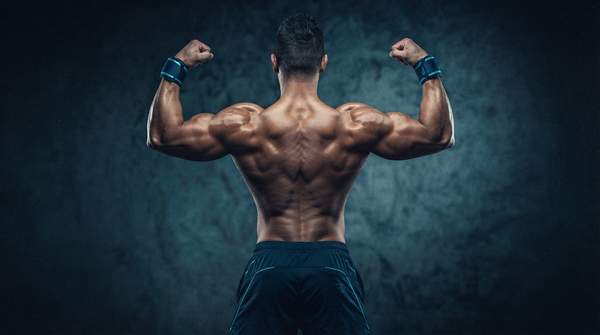 Editorial illustration for How to Activate mTOR for Maximum Muscle Growth